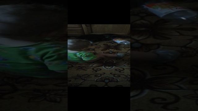 Федька и Маркиза играют с самого утра