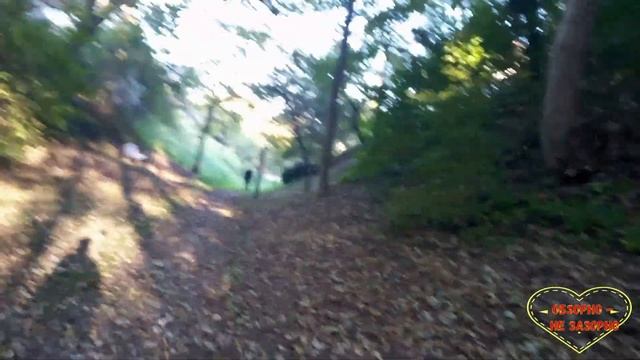 Барракуда//Отношения//Обзор влогов смотреть онлайн