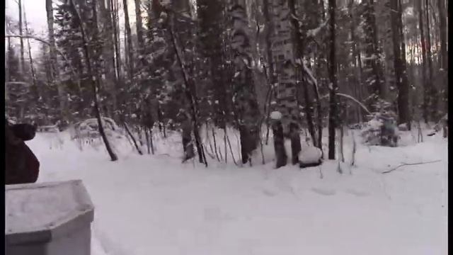 сф мото н тагил смотреть онлайн