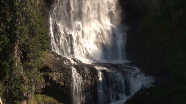 waterfall in forest, водопад в лесу, cascada en el bosque, cachoeira na floresta смотреть онлайн