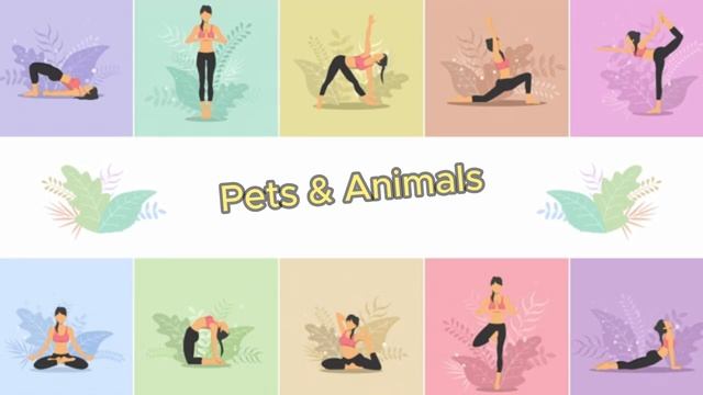 Yoga Exercise In Nature Collection Pets & Animals shorts photo Video Credit 2023 смотреть онлайн
