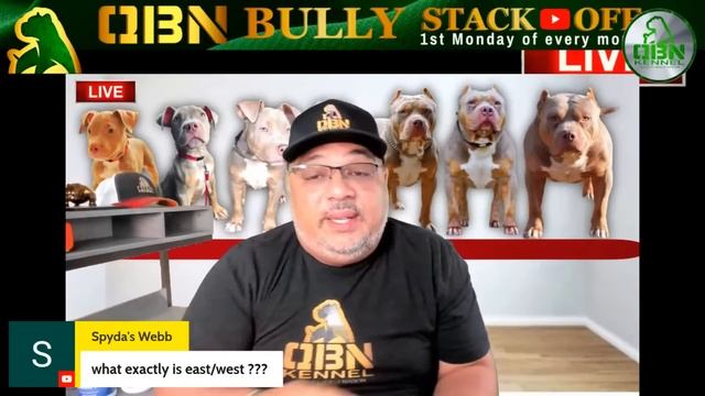 American Bully Podcast | Why Lanky Stage Is So Important смотреть онлайн