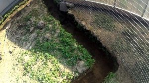 Мой способ копки траншеи в глине под фундамент