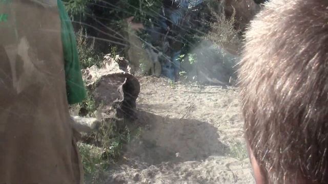 кормление волчицы с руки Ленинградский зоопарк смотреть онлайн