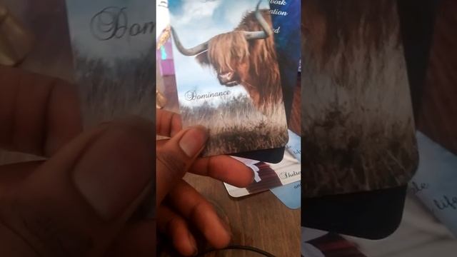 #222 #333 #444 TAKE ACTION! Oracle TODAY ?⚔️ Oracle READING ? 8/3/21 смотреть онлайн