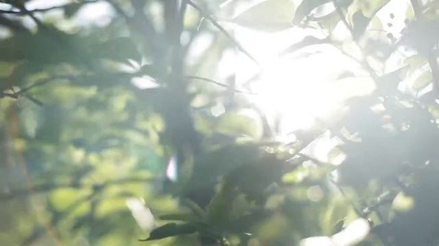 ДИТЯ БЕЗ ПОЛЬЗЫ ХИТРОЙ смотреть онлайн