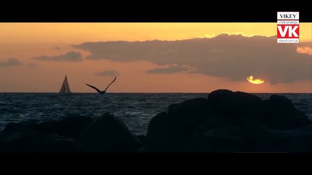 Стих "Как же хочется просто жить" в исполнении Виктора Корженевского смотреть онлайн