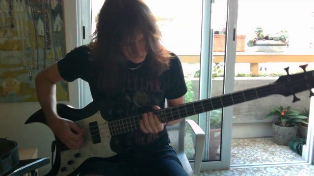 Zina And The Stereophonic Punx -  КАТЮША / Katyusha [ BASS COVER ]