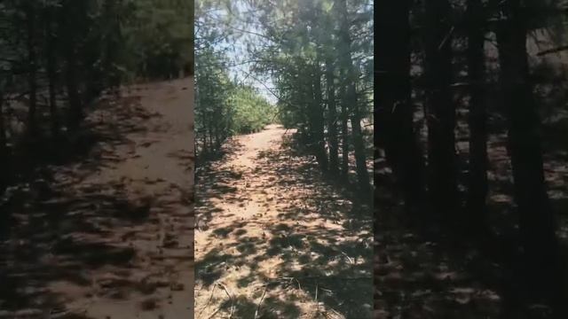 Кинбурнская коса. Украинские Мальдивы. Пляж Кинбурн. Леса Кинбурн. Украинская сказка. Украина. смотреть онлайн