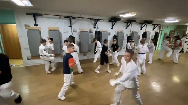 Тренировка 03 ноября 2023 года. Киокусинкай каратэ в Климовске на Западной 12. смотреть онлайн