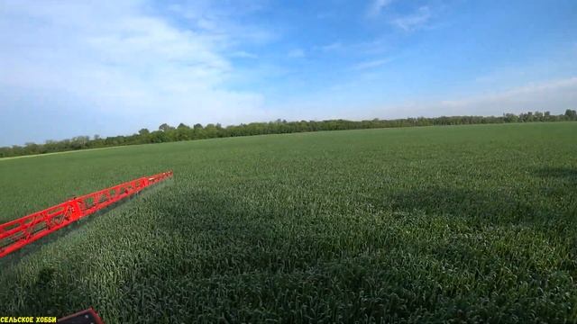 Фунгицидная обработка Озимой Пшеницы/Когда лучше обрабатывать/Контроль болезней озимой пшеницы. смотреть онлайн