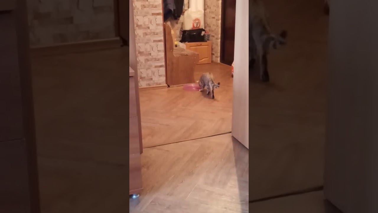 16 января 2020 г. смотреть онлайн