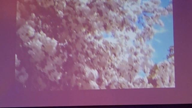 4 - Белая черёмуха душистая - Игорь Наджиев (С-Петербург, 02.12.2017) смотреть онлайн