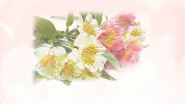 50 лет день рождения поздравления смотреть онлайн