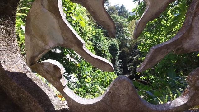 MEXICO: LAS POZAS DE XILITLA