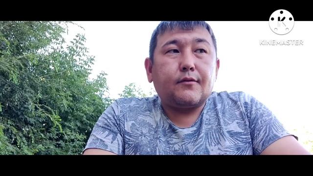 Искры Раздумий