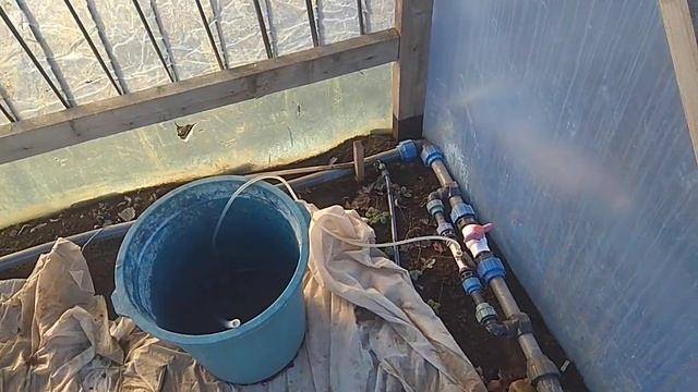 Первая важная подкормка клубники. смотреть онлайн