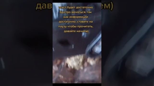 ресничатый бананоед уход и обустройство террариума смотреть онлайн