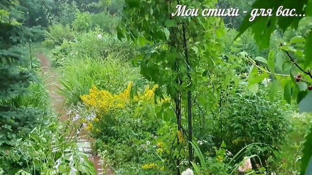 Августовский ливень. Мои стихи - для вас. Стихи Галины Беспаловой смотреть онлайн