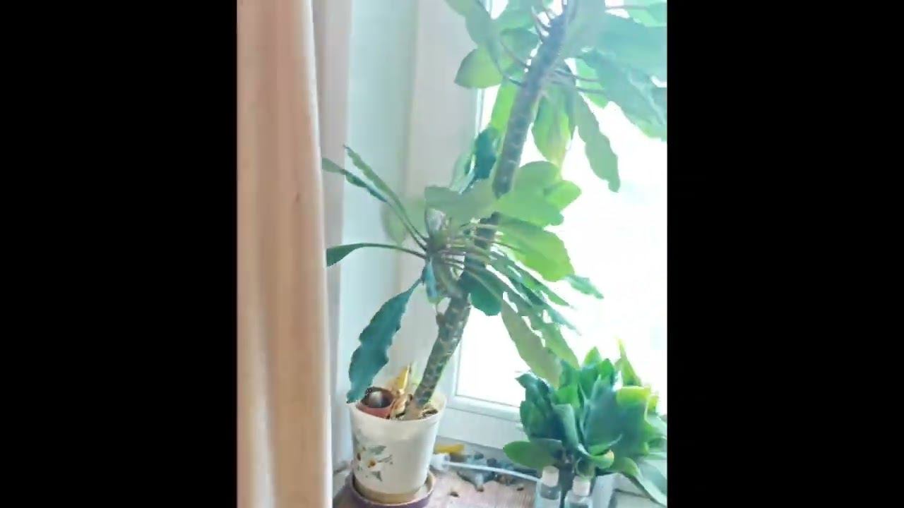 Сдаю в длительную аренду 2х-комнатную квартиру в Москве. Новогиреево. 6 минут ходьбы от метро. ВАО смотреть онлайн