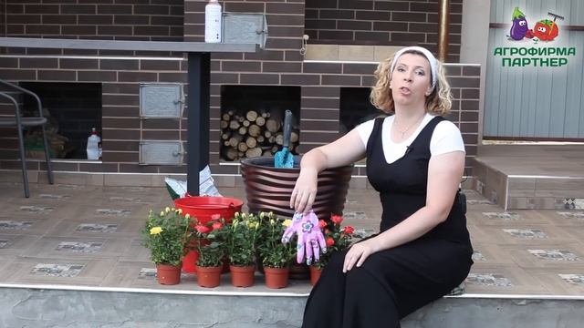 БОЛЬШИЕ ЦВЕТОЧНЫЕ КАШПО. НА ЧЕМ МОЖНО СЭКОНОМИТЬ? смотреть онлайн