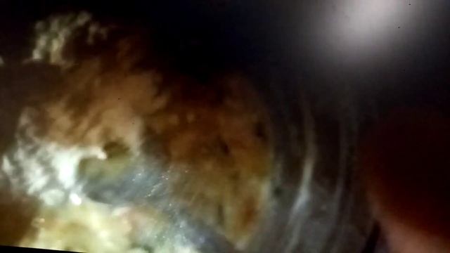 Готовим пиццу. на сковороде ,тесто жидкое!!! Быстро,красиво и вкусно!!! смотреть онлайн