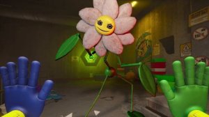 Песня про ЦВЕТОК ДЕЙЗИ 1 час