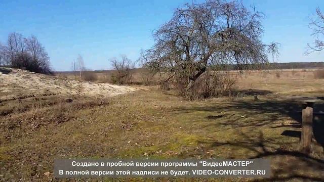 Racer Ranger 300 возможности