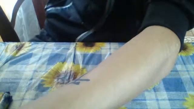 Видео c веб-камеры от 2 августа 2015 г., 10:46 (UTC) смотреть онлайн