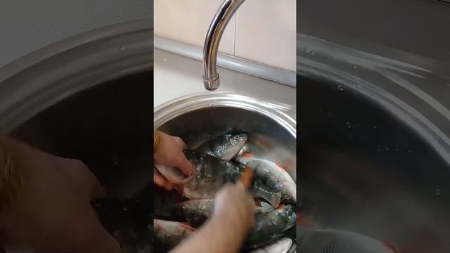 Чудо рыбочистка смотреть онлайн