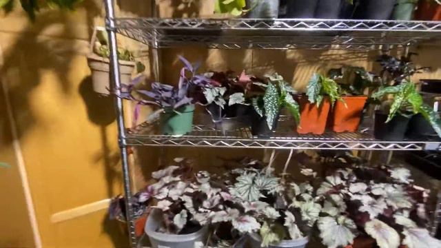 Welcome to my Garden смотреть онлайн