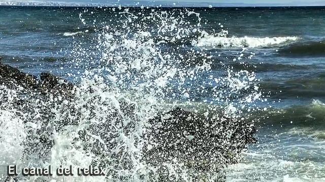 MUSICA RELAJANTE PARA, TRABAJAR, ESTUDIAR, CONCENTRARSE, LEER, HACER TAREAS, MEDITAR, YOGA, PILATES смотреть онлайн
