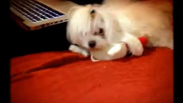 Tia смотреть онлайн