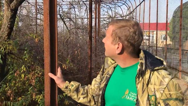 В вольере у носух смотреть онлайн