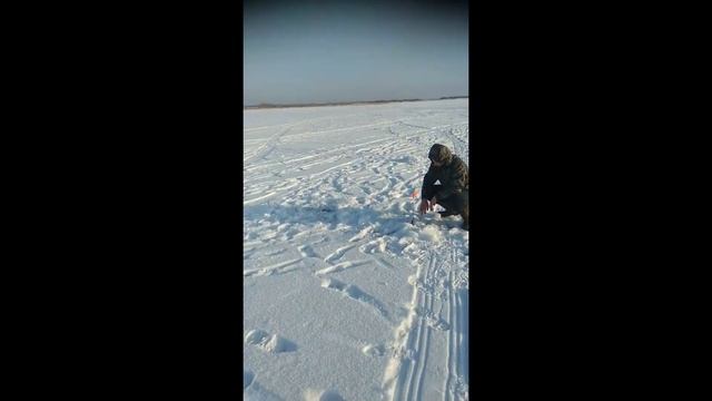 Рыбалка на о.Шаблиш 04.12.2020 и вновь отлично половили! смотреть онлайн