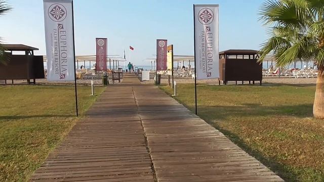 Euphoria Palm Beach Resort обзор отеля Пляж отеля смотреть онлайн