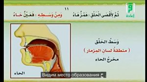 6. Место произношение букв ء ه ع ح غ خ. « Айман Сувейд «.