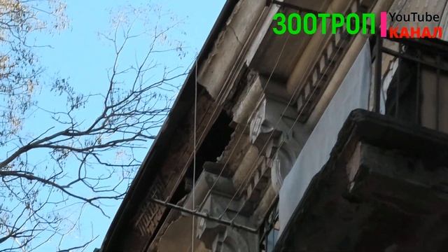 Позор. Теряем памятники архитектуры. Одесса улица Ольгиевская. смотреть онлайн