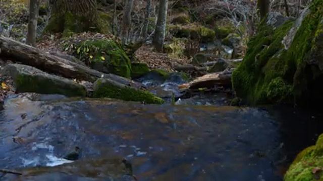Приморский край - Вблизи водопада Неожиданный [Звуки природы, для сна, расслабления] смотреть онлайн