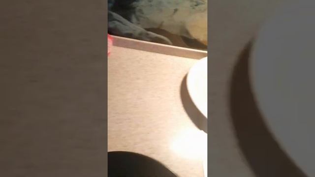 Хаваю блинчики и всё. смотреть онлайн