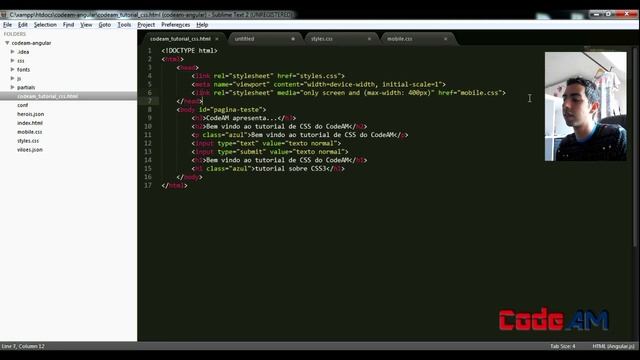 Tutorial de CSS: Usando media query para responsive CSS смотреть онлайн