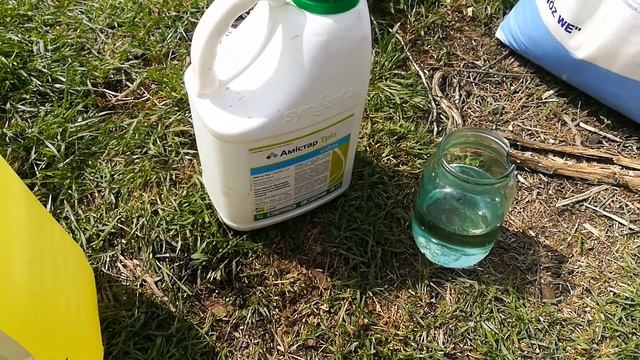 Гербицид пшеница озимая смотреть онлайн