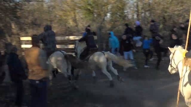 BELLEGARDE ENTRAÎNEMENT D'ABRIVADO BANDIDO 26.02.2023 смотреть онлайн
