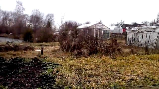 сбор урожая,брюссельская капуста зимой на даче, обзор дачи смотреть онлайн