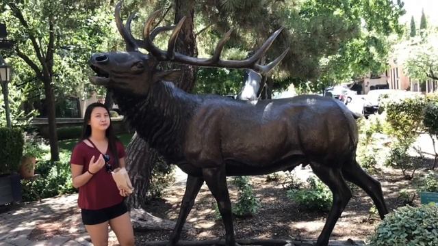 Exploring Sedona 2017 смотреть онлайн