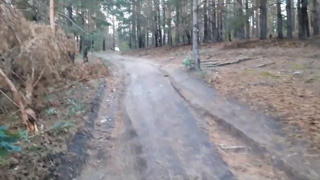 пропали коровы из стада. организовали поиски. похолодало, телят загнали в сарай. смотреть онлайн