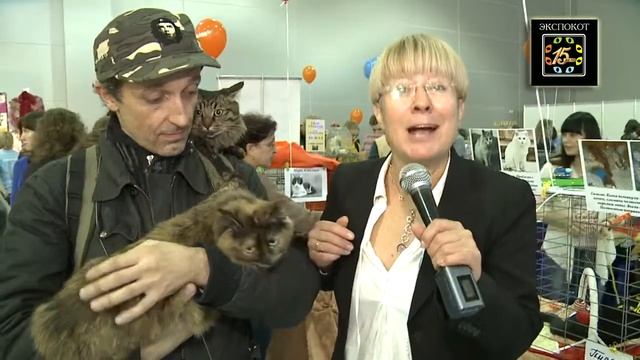 Илона Броневицкая о приютах на выставке ЭКСПОКОТ-2013 смотреть онлайн