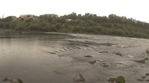 Король реки.Где стоит Сёмга в реке /About salmon on the Kola 2020.