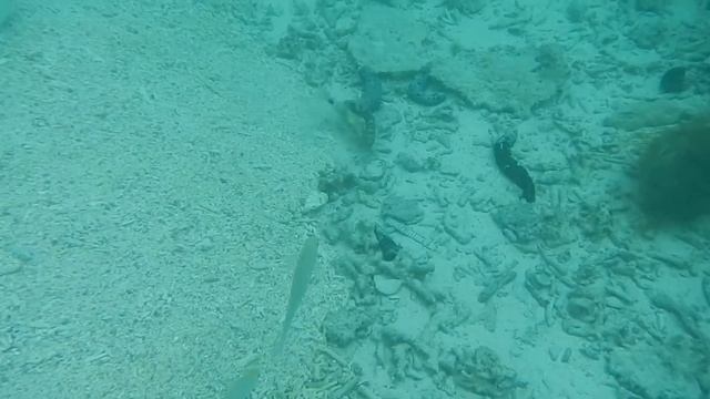 니콘 쿨픽스 AW110s 낭유안 전경 2 смотреть онлайн