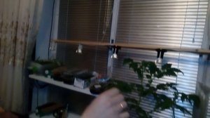 Как сделать  подсветку фитолампами для растений своими руками